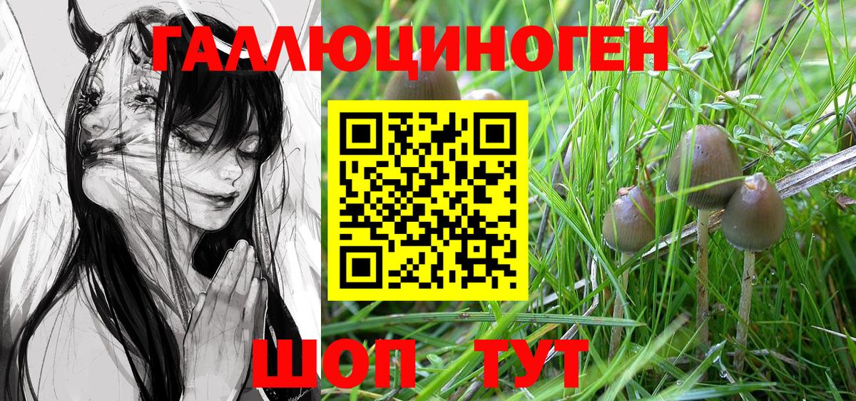 Псилоцибиновые грибы GOLDEN TEACHER  сколько стоит  Горячий Ключ  Галлюциногенные грибы MAGIC MUSHROOMS  Вход с VPN 